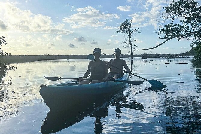 Kayak Through the Mangroves - Paddling where river and ocean meet