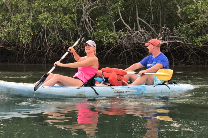 Kayak to the Heart of the National Park - Why the tide changes the whole experience