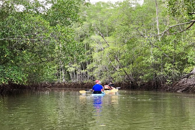Kayak to the Heart of the National Park - Wildlife along the paddle