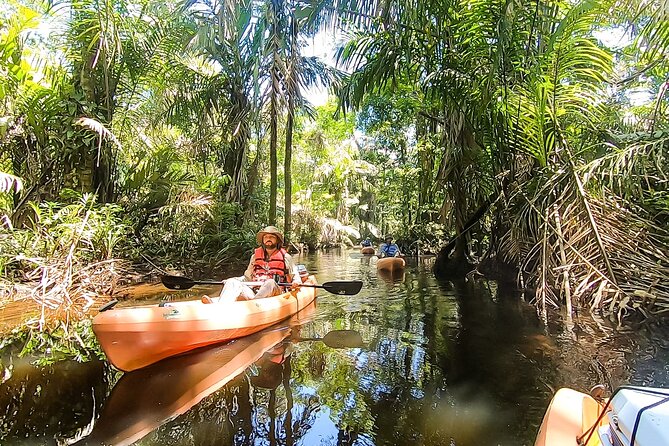 Kayak Tour - Guide quality and language