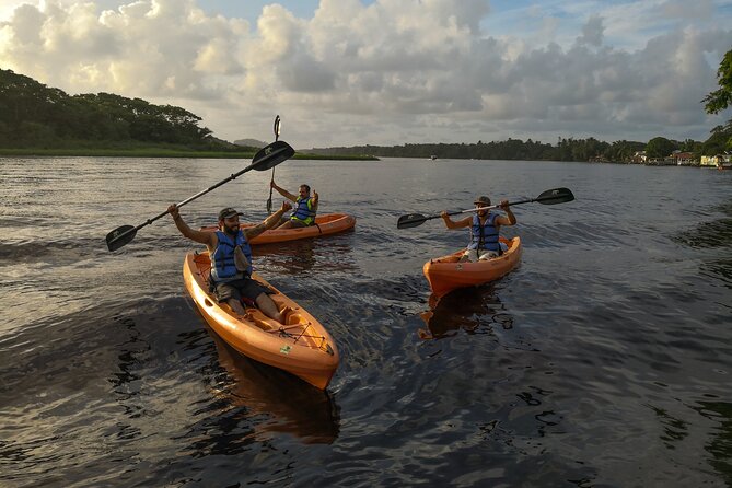 Kayak Tour - What you will see inside Tortuguero National Park