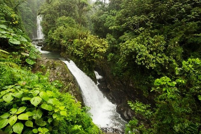 La Paz Waterfalls - From San José to Costa Rica’s coffee country
