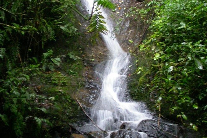 La Paz Waterfalls - The waterfall trail and its three main falls