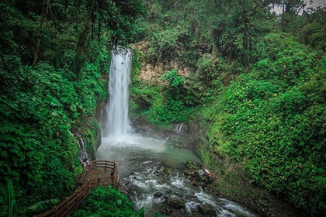 La Paz Waterfalls - Coffee, strawberries, and the climb toward La Paz