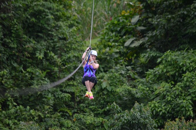 Los Cañones Canopy with Hotsprings Los Lagos - The wildlife add-on needs a reality check