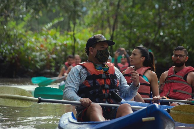 Mangrove Damas Island Kayak Tours - Key points to know before booking