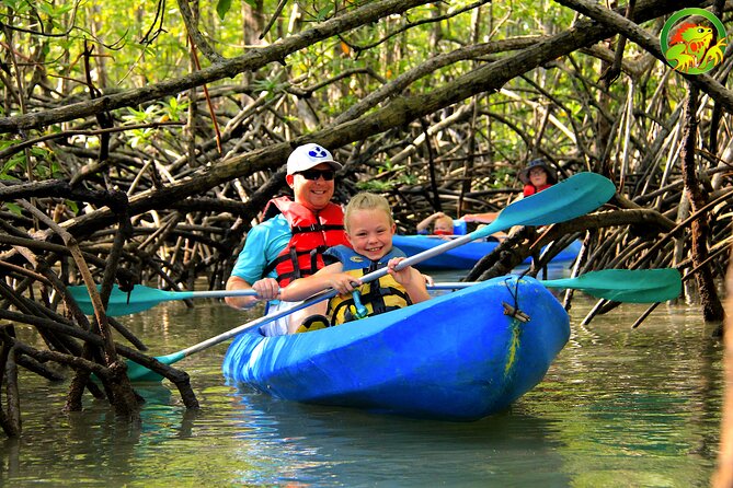 Mangrove Damas Island Kayak Tours - Is $70.20 a fair price?