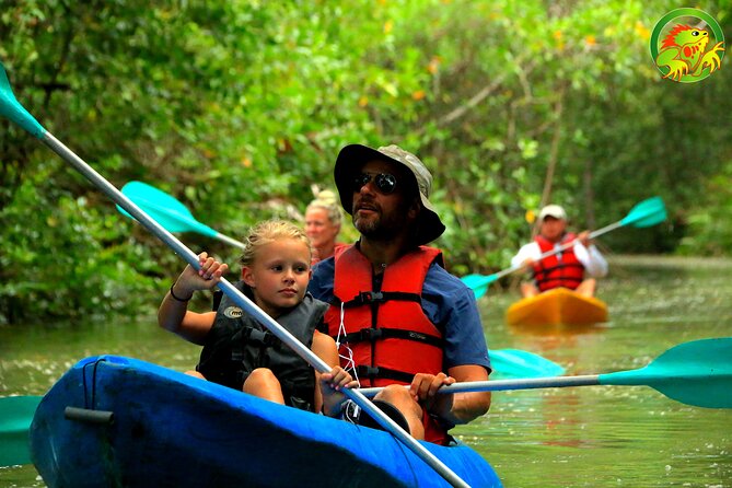 Mangrove Damas Island Kayak Tours - Wildlife watching from an open kayak