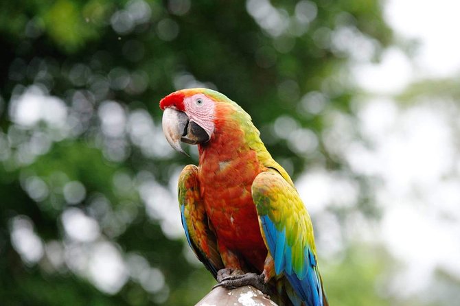 Manuel Antonio National Park; Beach & Sightseeing Day Trip from San Jose - The 6:00 a.m. start and the road to Orotina