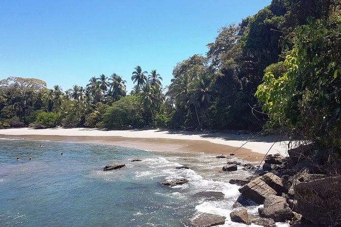 Manuel Antonio National Park; Beach & Sightseeing Day Trip from San Jose - Crocodiles at the Tárcoles River