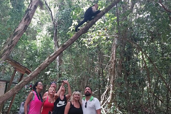 Manuel Antonio National Park guided tour - Why a guide matters in Manuel Antonio