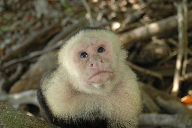 Manuel Antonio National Park Hiking Tour from Jacó - Tucanes Tours: a practical breakfast and restroom stop