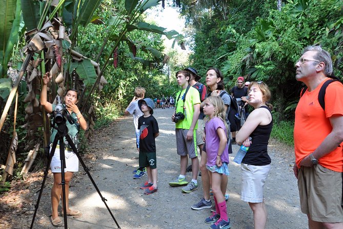 Manuel Antonio National Park Hiking Tour from Jacó - The animals you might see in Manuel Antonio