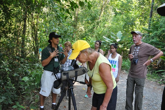 Manuel Antonio National Park Hiking Tour from Jacó - Manuel Antonio Beach and the short swimming break