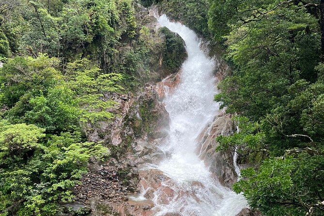 Miravalles Volcano: Sloth's Park, Hanging Bridges & Hot Springs. - Leaving Tamarindo at 6:00 a.m.