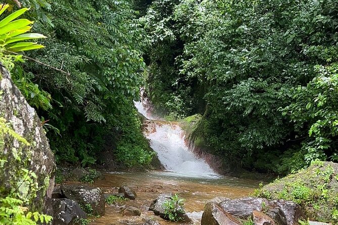 Miravalles Volcano: Sloth's Park, Hanging Bridges & Hot Springs. - Is $205 a Fair Price?