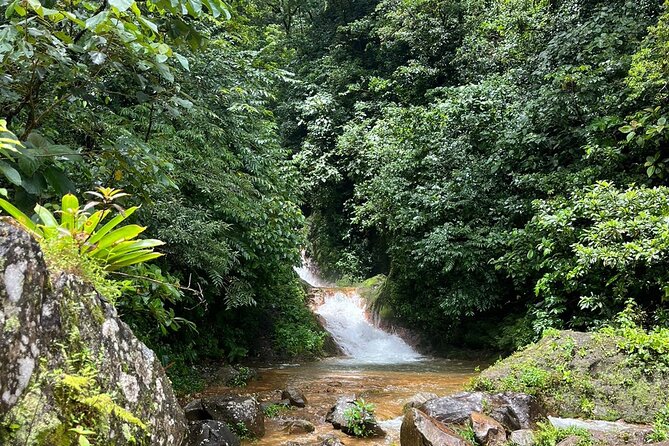 Miravalles Volcano: Sloth's Park, Hanging Bridges & Hot Springs. - Who Will Enjoy This Day Most?