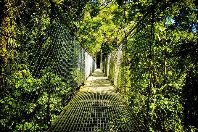 Mistico Hanging Bridges Park from La Fortuna - A 3.2-kilometer walk with changing views