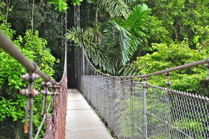 Mistico Hanging Bridges Park from La Fortuna - Arenal views, waterfall, and forest scenery