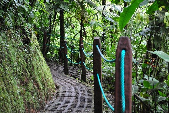 Mistico Hanging Bridges Park from La Fortuna - How crowded is the experience?