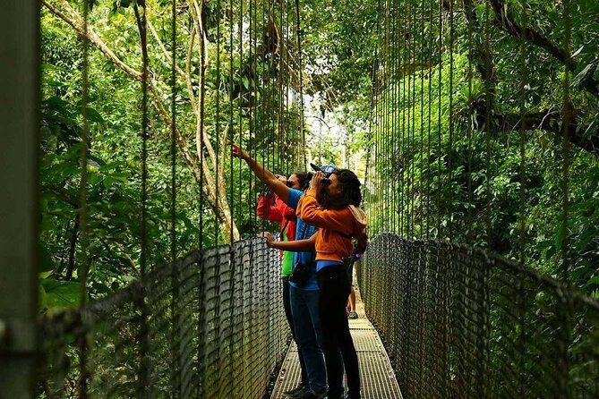 Mistico Hanging Bridges Tour with Lunch and Hotsprings - How the $75 price holds up