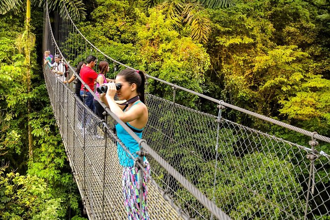 Mistico Hanging Bridges Tour with Lunch and Hotsprings - A guide makes the forest easier to read