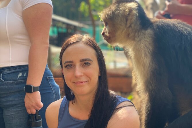 Monkey, Crocodile, Sloths & Beach Experience - Should you book the Monkey, Crocodile, Sloths and Beach Experience?