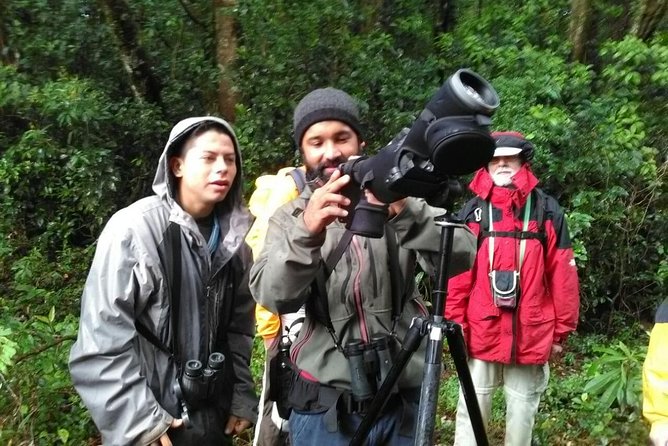 Monteverde Birdwatching Experience - What the four hours feel like