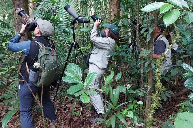 Monteverde Birdwatching Experience - Walking 2 to 3 kilometers through the reserve