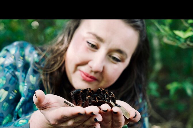Monteverde Butterfly Gardens Tour - Is $28 a fair price?