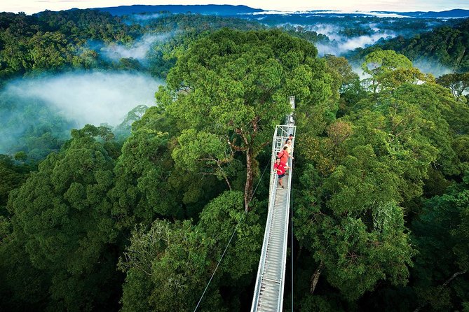 Monteverde Cloud Forest Hanging Bridges Tour from San Jose - Key points to know before booking