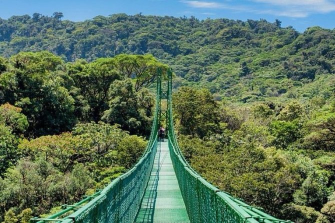 Monteverde Cloud Forest Hanging Bridges Tour from San Jose - The real attraction: walking above Monteverde’s trees