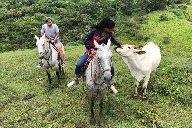 Monteverde Cloud Forest Horseback Riding - Snacks, sugarcane, and the farm connection