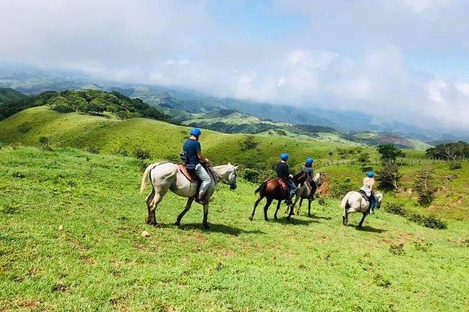 Monteverde Cloud Forest Horseback Riding - From the ranch to forest, fields, and plantations