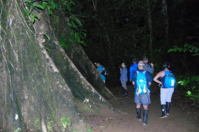 Nativos Corcovado Night Hike in DrakeBay - What makes this Drake Bay night walk different