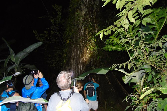 Nativos Corcovado Night Hike in DrakeBay - Crossing trails and shallow river water
