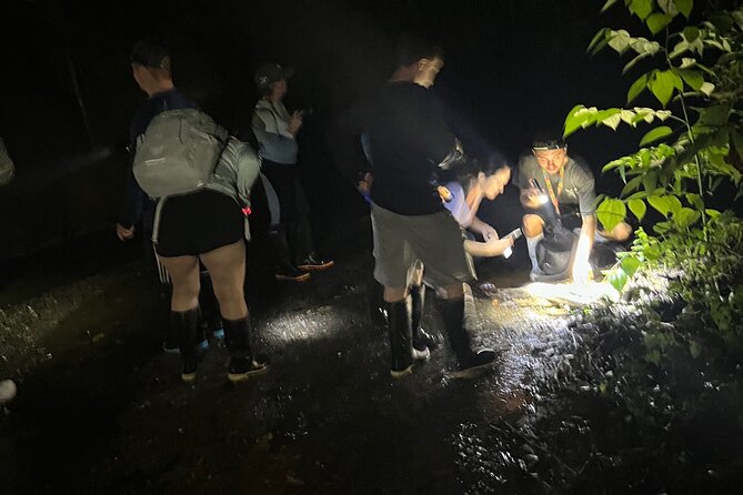 Night Walk Tour and Jungle Dinner in Jaco - Searching for frogs, snakes, spiders, and night birds