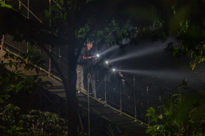 Nocturnal Walk in the Hanging Bridges - Entering Mistico Park After Sunset