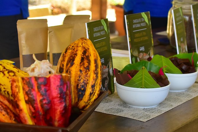 Ocean View Canopy Zip line + Chocolate Experience - Two Costa Rican treats in one half-day