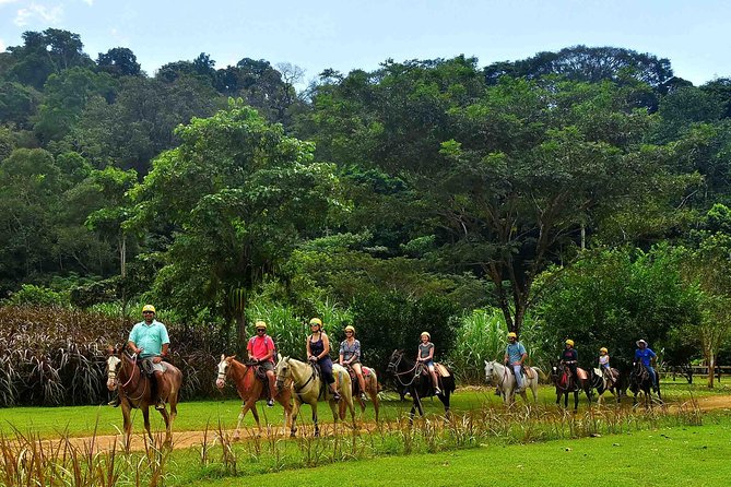 Ocean View Zip Line + Horseback Riding & Natural Pool Combo - What the zipline does best