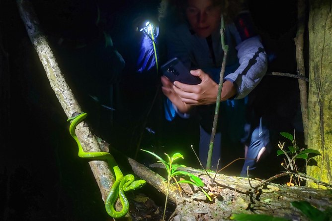 Package | Monteverde Cloud Forest + Curi-Cancha Reserve + Night Hike (Private) - Curi-Cancha Reserve: the strongest stop for birding