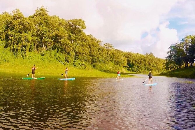 Paddle Board Private Tour Nuevo Arenal, Lake Arenal - Getting comfortable on the paddleboard