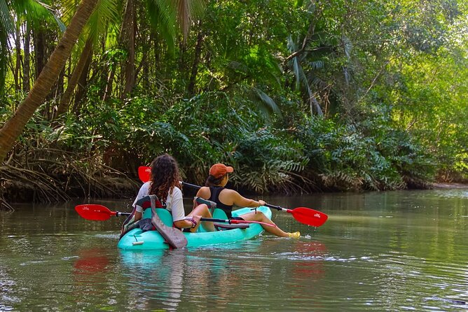Paddle Through Paradise: Mangrove Kayak Adventure - Key points at a glance