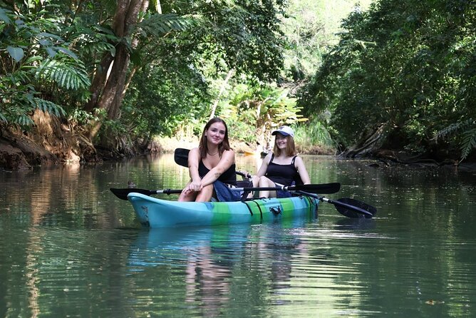 Paddle Through Paradise: Mangrove Kayak Adventure - Meeting Memo, Jason, Jayson, or Felipe