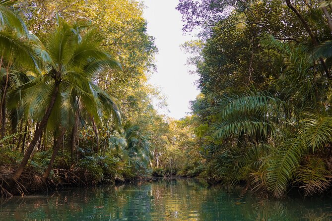 Paddle Through Paradise: Mangrove Kayak Adventure - A closer look at the two-hour route