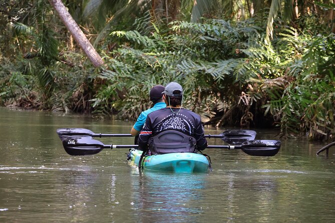 Paddle Through Paradise: Mangrove Kayak Adventure - How much value do you get for $55.20?