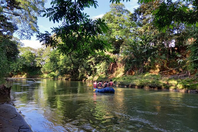 Peñas Blancas River: Wildlife Safari Experience by Raft - Wildlife possibilities along the forest edge