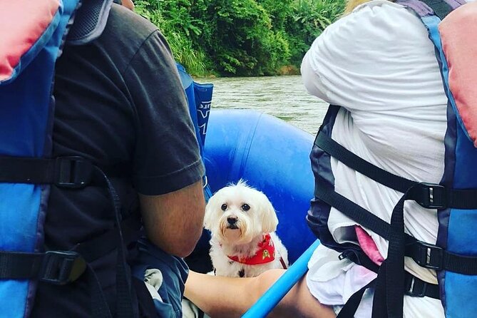 Peñas Blancas River: Wildlife Safari Experience by Raft - From La Fortuna to La Perla in about 30 minutes