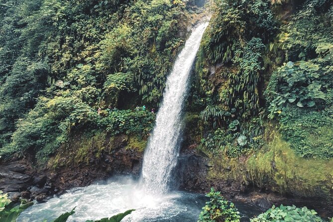 Poás Volcano and Coffee Tour with Tasting and La Paz Falls - Doka Estate and the Costa Rican coffee lesson