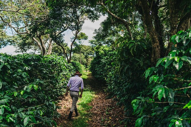 Poás Volcano and Coffee Tour with Tasting and La Paz Falls - Who will enjoy this Poás day trip